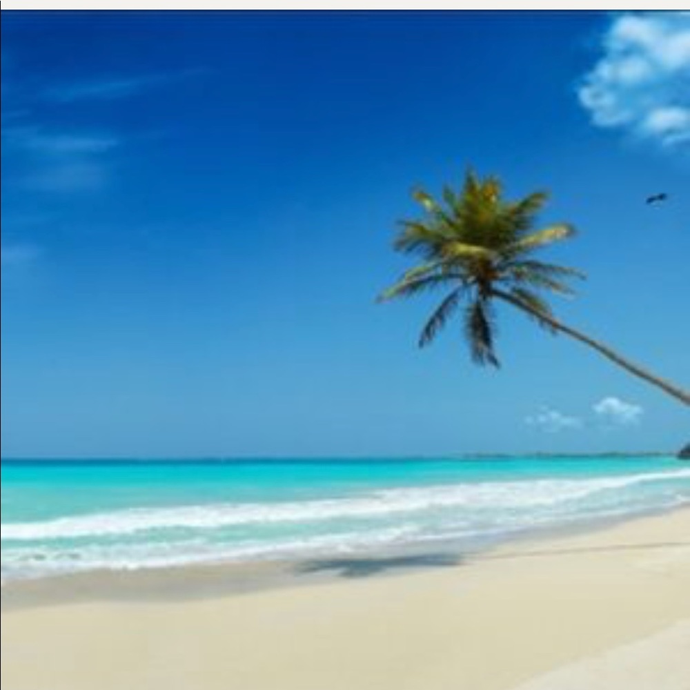 Meet your Posher, Sam